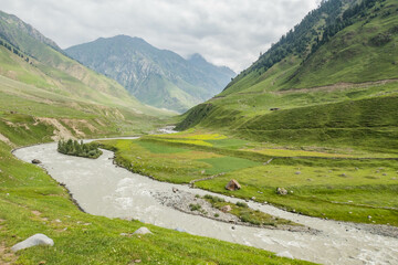 Trekking through the beautiful verdant Warwan Valley, Kashmir, India