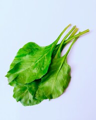 Spinach leafy green vegetable food agriculture edible organic fresh raw uncooked spinacia oleracea, epinarde, spinat, spinace,  annual plant leaves closeup view image picture stock photo.
 - obrazy, fototapety, plakaty