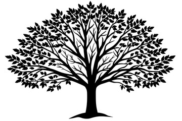 tree vector illustration