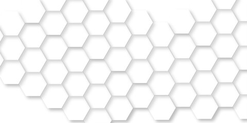 White Hexagonal Background. Luxury White Pattern. Vector Illustration. 3D Futuristic abstract honeycomb mo. Hexagonal white hexagons honeycomb wallpaper with copy space for web cell honeycomb texture.