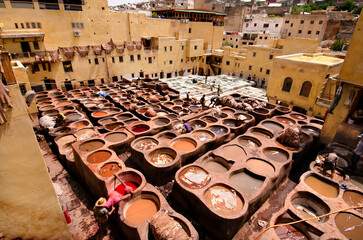 Chouara tannery is probably the most well known and certainly the most beautiful tannery in the...