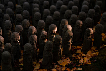 crowd of buddha