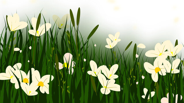 Spring Grass Flowers Meadow, Daisy Field Background