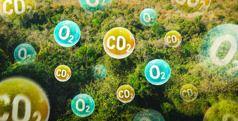 Tree canopy against a sky background with oxygen O2 and carbon dioxide CO2 molecules. Carbon dioxide absorption and oxygen release concept. Concept of carbon dioxide emissions and its impact on nature - obrazy, fototapety, plakaty