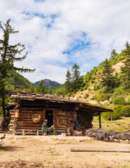 Fototapeta na wymiar Mountain hut and black pig in Jiuzhaigou, Sichuan, China