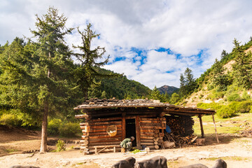 Mountain hut and black pig in Jiuzhaigou, Sichuan, China