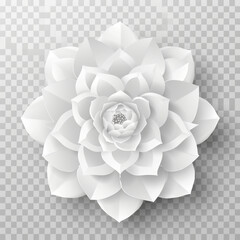 3d white paper flower illustration on a transparent background