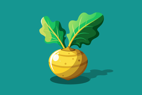 Rustic rutabaga background with copy space.