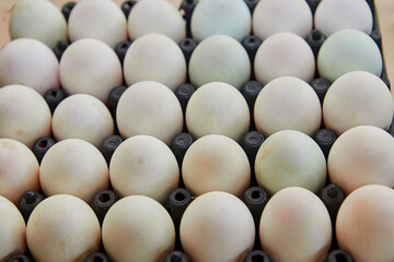White eggs in a carton