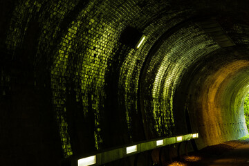 日本の風景・春　新緑のアプトの道　歴史あるトンネル	
