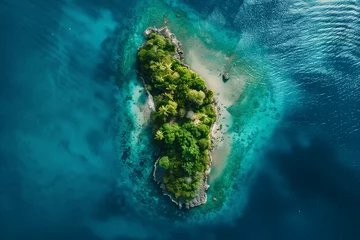 Foto op Canvas bird's eye view of island © Hew Pallot