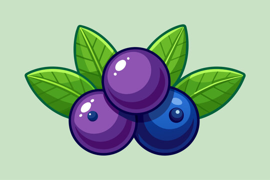 huckleberry fruit background