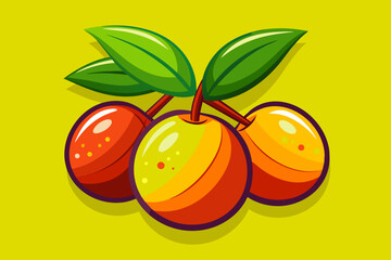 jujube fruit background