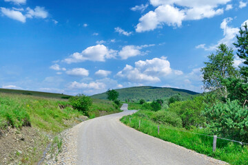 Rural landscape with asphalt narrow road between green meadows under blue sky dotted white clouds