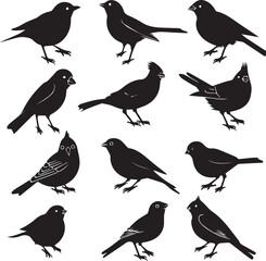 Set of Black Silhouette birds 