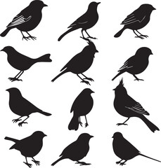 Set of Black Silhouette birds 