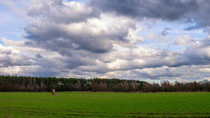 Ein Hochsitz auf einer Wiese, im Hintergrund Bäume und ein dramatischer Himmel