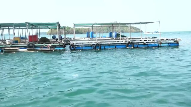 Fish are raised in the sea in Kien Giang province, Vietnam.