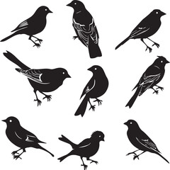 Set of Black Silhouette Birds flying 