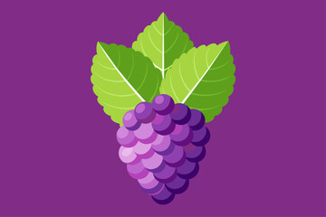 Mulberry fruit background is bursting with juicy mulberries against a vibrant background.