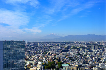 Fototapeta na wymiar 横浜から観る富士山