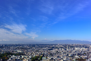 横浜から観る富士山