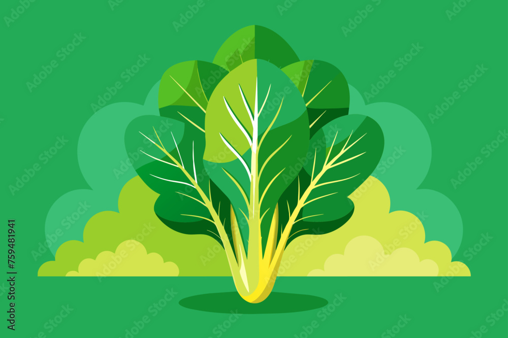 Wall mural mustard greens vegetable background