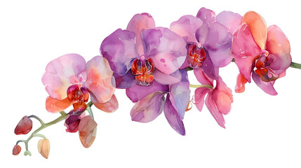 The watercolor flowers orchid isolated on the white background. generative ai 