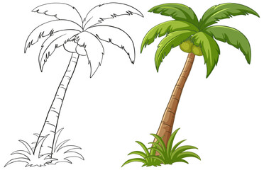 Two stages of palm tree illustration, black and white and colored.