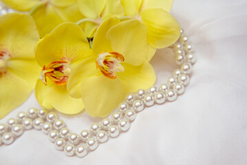 The branch of yellow orchids on white fabric background
