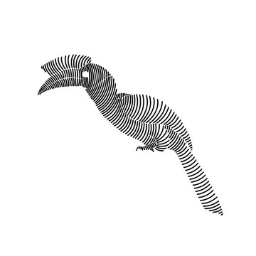 recommend clip art: Simple line art illustration of a hornbill 3
