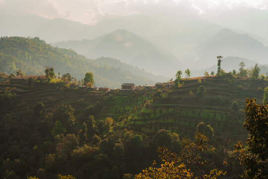 Tranquil landscape of lush green hills in Nepal 