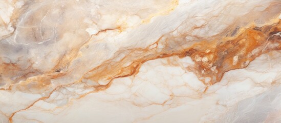 A close up of a white and gold marble texture resembling the intricate patterns of a trees twisted...