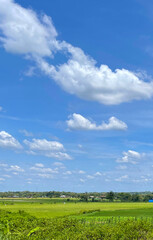 beautiful view of landscape and green view with blue sky and white cloud
