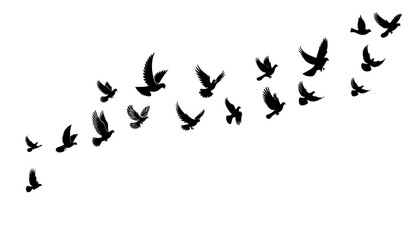 dove birds or pigeons group flight silhouette horizontal  vector illustration on white background