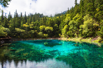 Beautiful view of clear lake at Pearl Beach in Jiuzhaigou, Sichuan, China