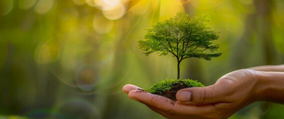 A hand holding a small tree on a green defocused background. Concept of nurturing and care