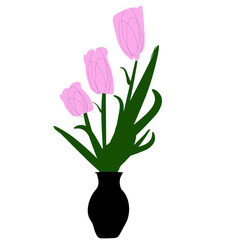 [pink tulip flower with top