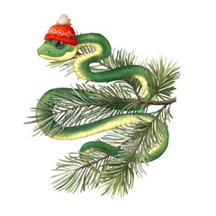 Snake with fir branches. Cute illustration of green snake in red knitted hat, isolated on white background. - 759513713