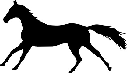  Horse Black Vector Silhouette