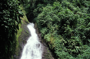 waterfall in grenada, west indies