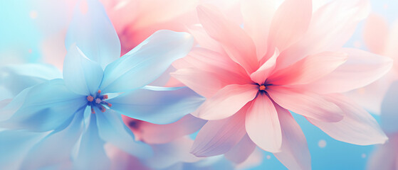 Sweet color flower petals in soft color and blur style