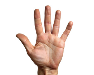 Human hand showing five fingers. Isolated on a transparent background.