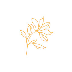 Flower doodle drawing lines vector illuatratoion