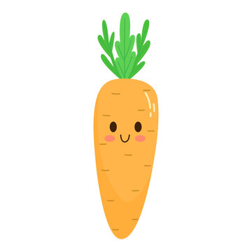 hand drawn cute carrot illustration