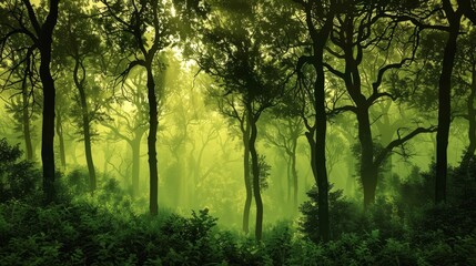 Fototapeta na wymiar Enchanting Forest A Serene Illustration of Green Ecology,