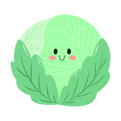 hand drawn cute white cabbage illustration