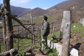 Naklejka premium man standing on a tree