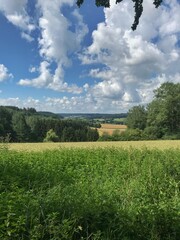 field and blue sky