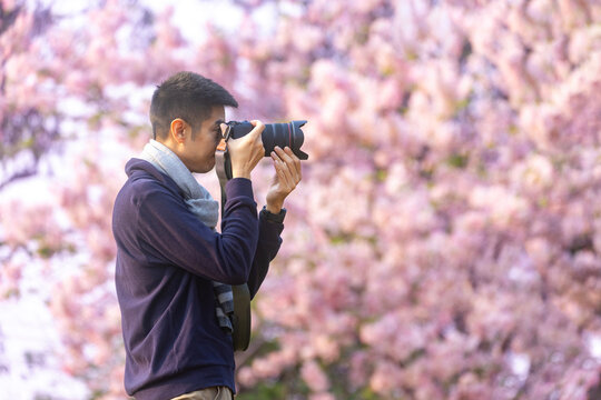 Asian man is taking photo while walking in the park at cherry blossom tree during spring sakura festival with copy space